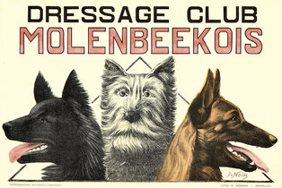 Dressage Club - Molenbeekois 