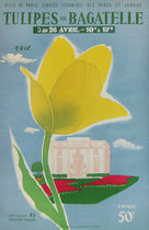           Tulipes De Bagatelle (Eric/ Yellow Tulip)