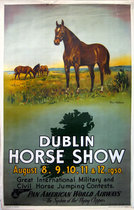 Pan Am Dublin Horse Show