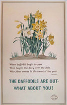 London Underground - The Daffodils Are Out 