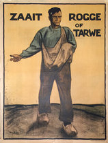 Zaait Rogge of Tarwe