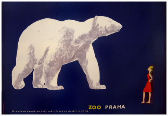 Zoo - Praha Polar Bear