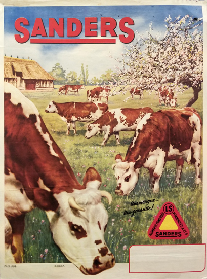 Sanders Cows