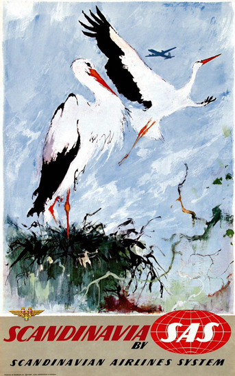 SAS - Scandinavia (White Storks)