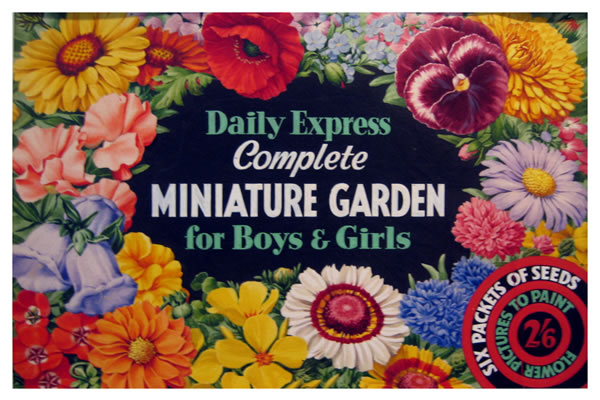 Daily Express Miniature Garden