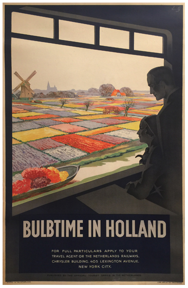 Bulbtime in Holland