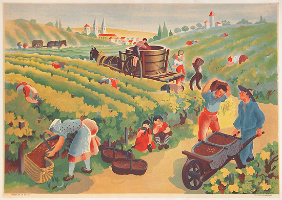 Les Vendanges Grape Harvest French Illustration (Horizontal)