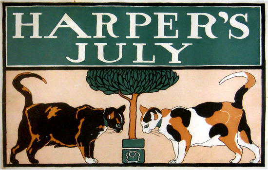 Harper's July Cats 