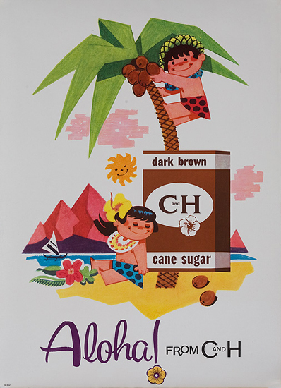 C & H - Dark Brown Sugar