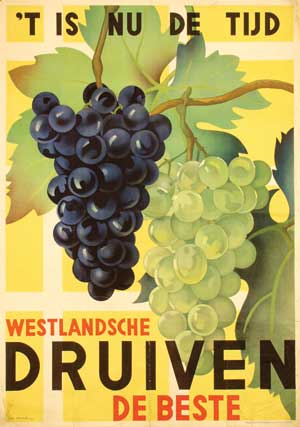 Westlandsche Druiven Grapes