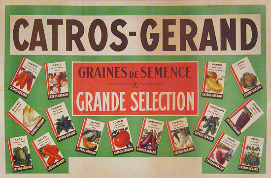 Catros Gerand Graines de Semence Grande Selection (Seeds)