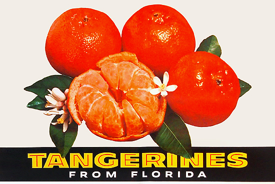 Tangerines from Florida