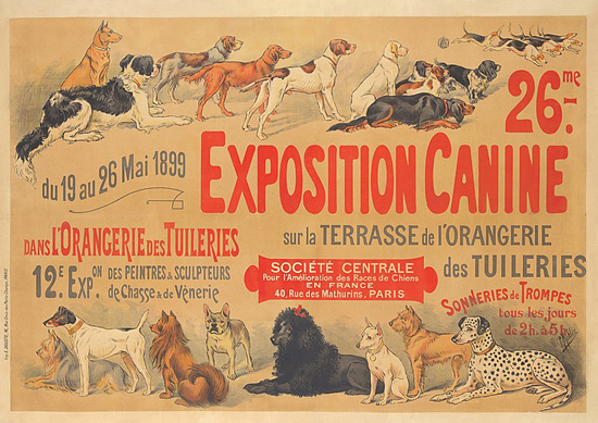 Exposition Canine 26me