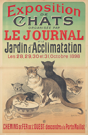 Exposition de Chats Le Journal (Cat Show)