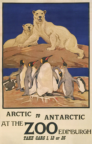 Arctic to Antarctic at the Edinburgh Zoo