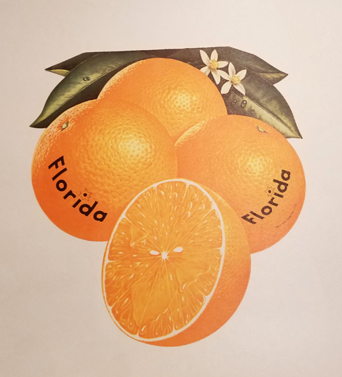 Florida Oranges Cut Out