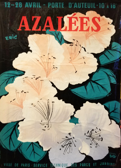 Azalees- Glossy Variant
