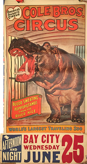 Cole Bros Circus Blood Sweating Hippopotamus