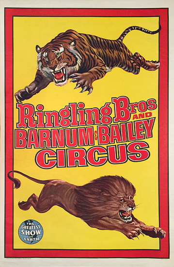 Ringling Bros and Barnum and Bailey Circus (Tiger and Lion)