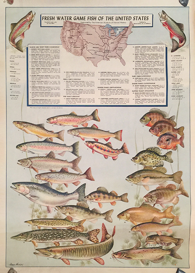Fresh Water Game Fish of the United States